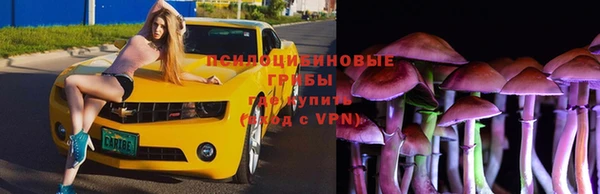 мяу мяу мука Вязники